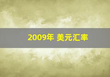 2009年 美元汇率